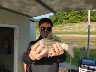 돌감낚시터 붕어조황입니다.