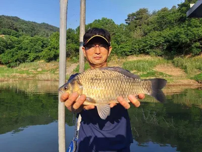 돌감낚시터 조황입니다.