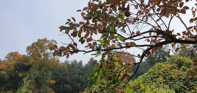 신매낚시터의 이모저모