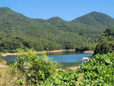 실리곡낚시터  허리급 조황입니다.
