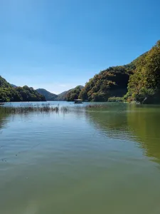 사오리 낚시터 조황정보
