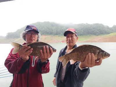 돌감낚시터 4짜 및 붕어조황입니다.