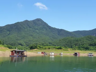 솔낚시터 대물 혹부리 조황입니다.