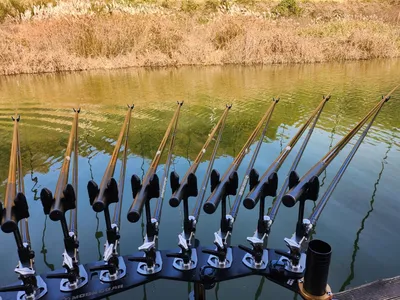 청풍실리곡낚시터 조황입니다.