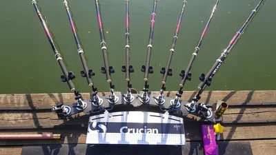 한버들 조황입니다