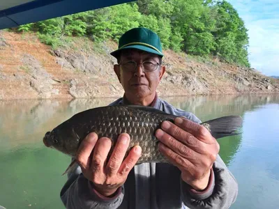 돌감낚시터 조황입니다.