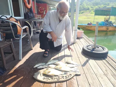 돌감낚시터 조황입니다.