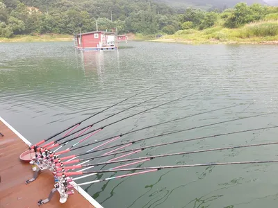 솔낚시터 조황소식 알려드립니다!