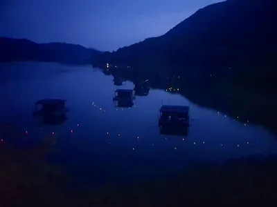 솔낚시터 조황소식 알려드립니다!