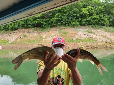 돌감낚시터 붕어조황입니다.