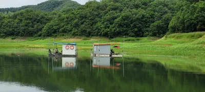 실리곡낚시터  4짜 조황입니다.