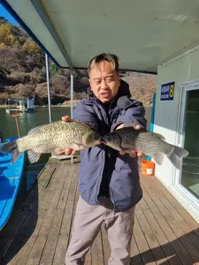 사오리 낚시터 조황정보