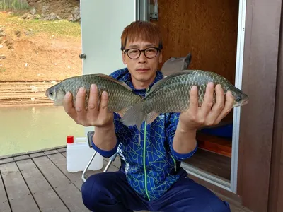 돌감낚시터 붕어조황입니다.