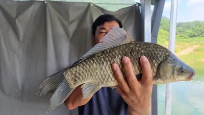 솔낚시터 사짜 조황소식입니다.