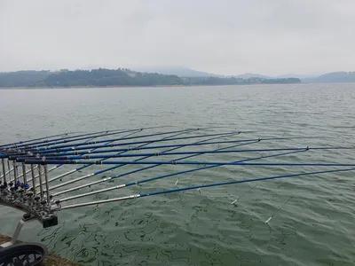 김기호 낚시터 조황정보 입니다
