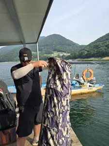 황금연휴 첫날 대물조황