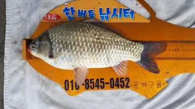 한버들 제 1회 왕중왕전 대회 요약 2부