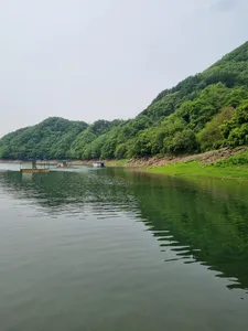 사오리 낚시터 조황정보