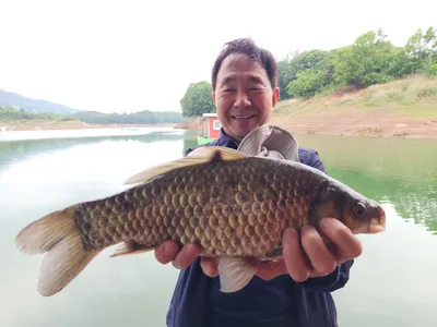 돌감낚시터 4짜 붕어조황입니다.