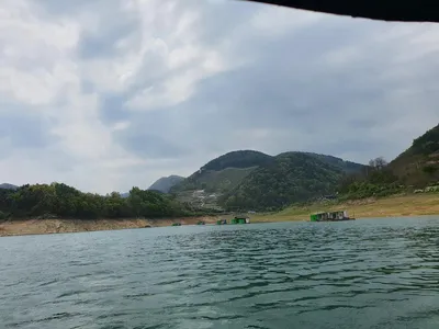 용곡 김기호 낚시터 조황정보 입니다