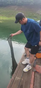 신매낚시터 7월 4일조황 