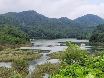 실리곡낚시터  허리급 조황입니다.