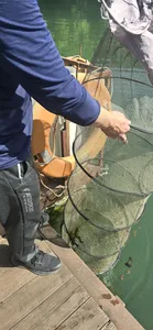 신매낚시터 5월 19일 조황