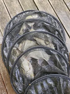 사오리 낚시터 조황정보