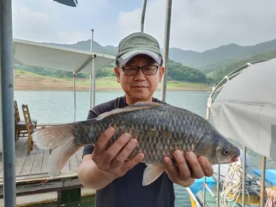 돌감낚시터 4짜