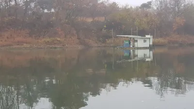 한버들 조황입니다