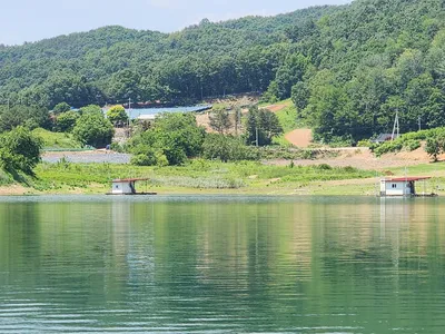 청풍 한버들 조황입니다