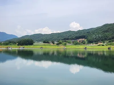 청풍 한버들 허릿급 조황입니다