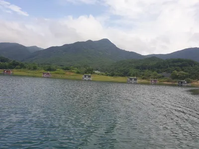 솔낚시터 조황소식 입니다.