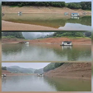 청풍신리낚시터 주말조황입니다