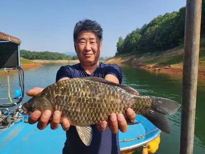 돌감낚시터 4짜 및 붕어조황입니다.