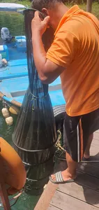 신매낚시터 7월 30일 조황