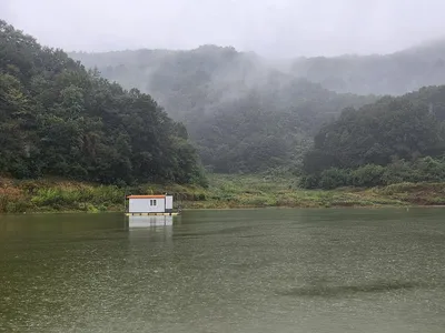 청풍 실리곡낚시터 44cm.42cm조황입니다.