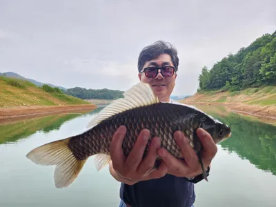 돌감낚시터 4짜 및 붕어조황입니다.