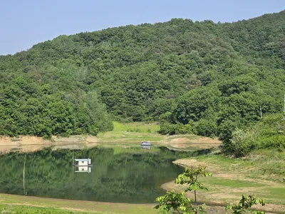 청풍실리곡낚시터 조황입니다.