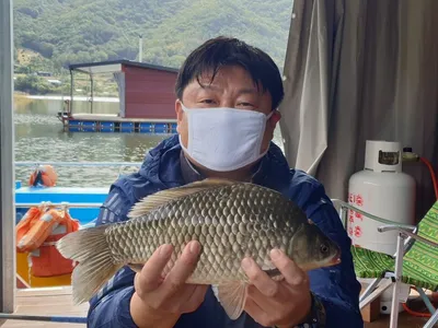 명절을 앞둔 주말 솔낚시터 조황입니다.