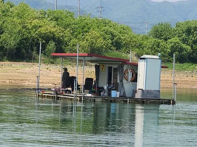 청풍 한버들 조황입니다