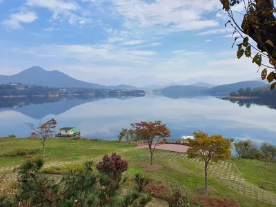 용곡 김기호 낚시터 조황정보 입니다