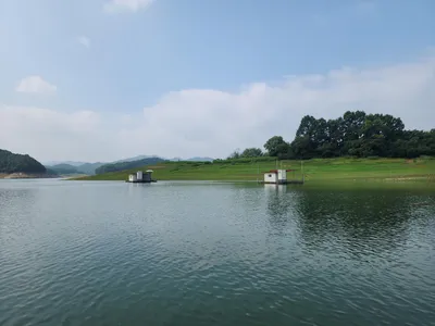 청풍 한버들 4짜 조황입니다