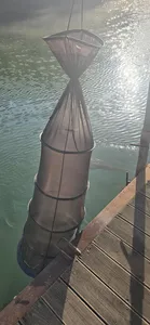 신매낚시터 6월 5일 조황