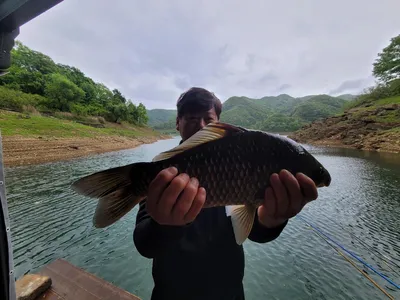 목벌(연휴)44.40.5.월척들