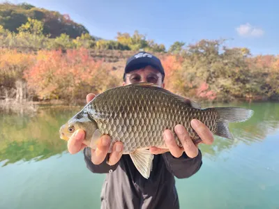 돌감낚시터 붕어조황입니다.