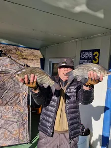 사오리 낚시터 조황정보