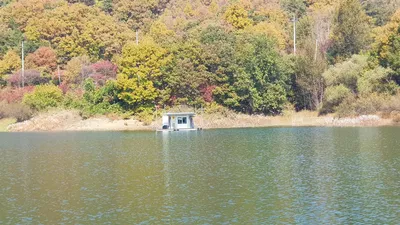 청풍호 한버들 조황입니다