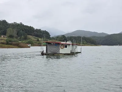 청풍 한버들 조황입니다