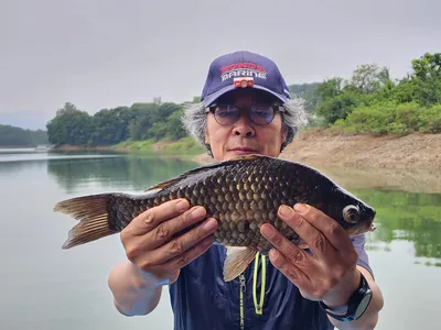 돌감낚시터 4짜 및 조황입니다.